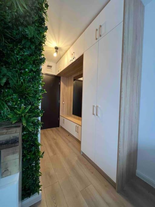 Cosy Appartement Green Life Банско Экстерьер фото